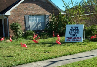Famous Flamingos